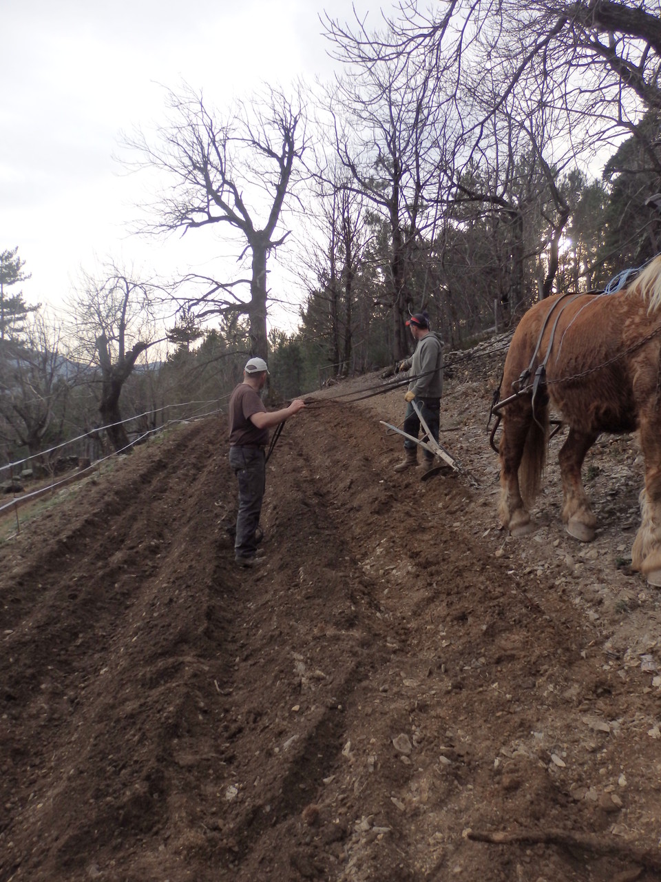 Terrain en pente