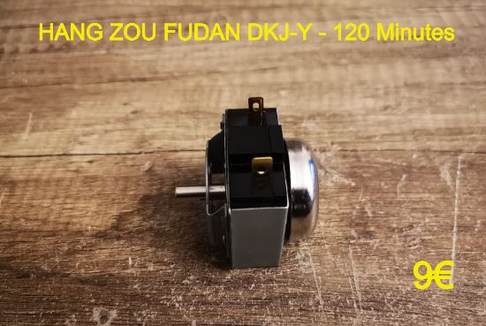 MINUTERIE DE CUISSON : HANG ZOU FUDAN DKJ-Y - 120 Minutes