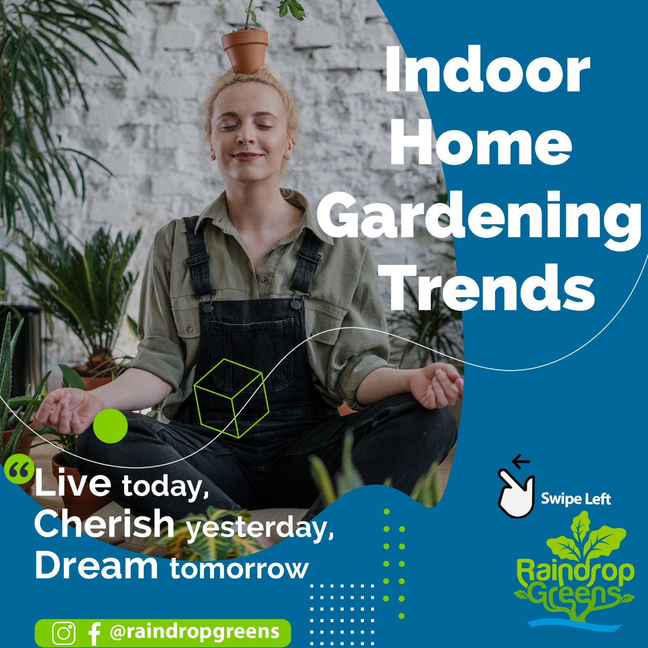 Modern Gardening Trends