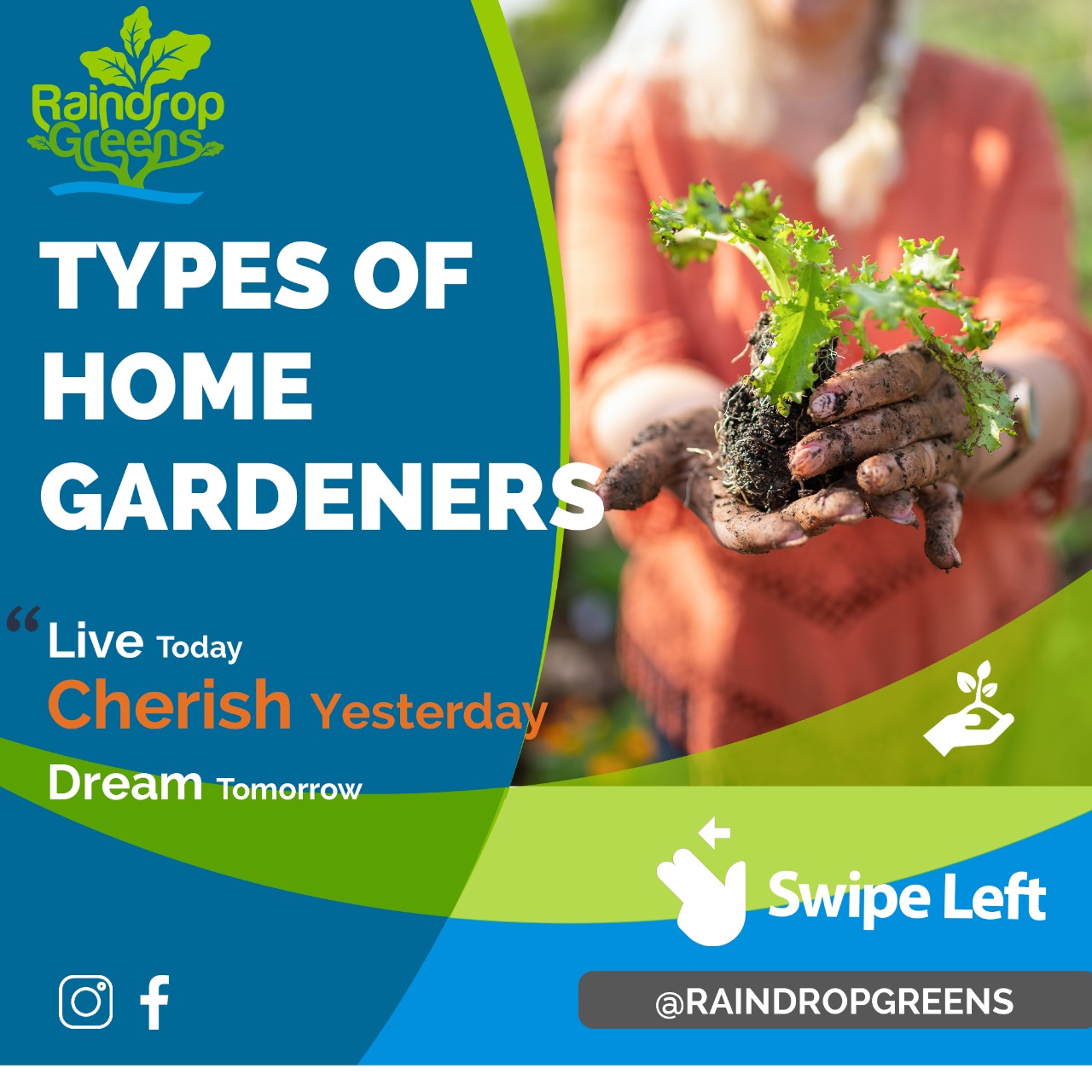 What Type of Gardener are you ?