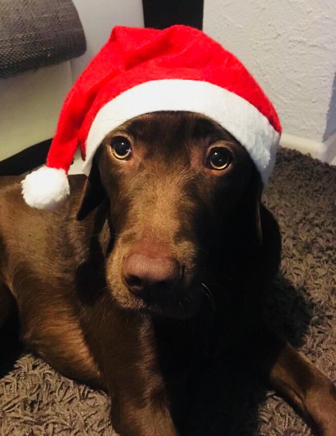 Paula freut sich auch schon auf Weihnachten