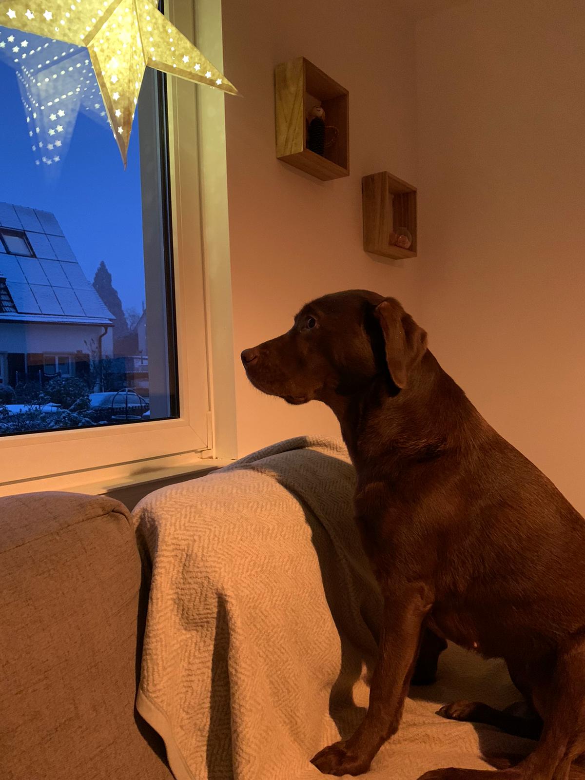 Auch Paula musste in Quarantäne