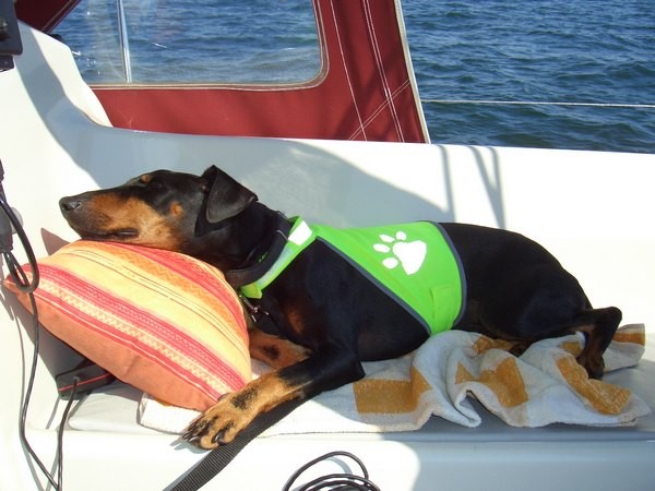 Auf See nach Dänemark