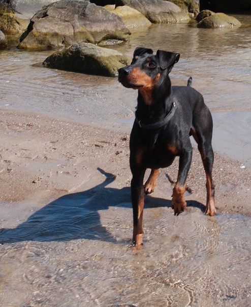 Fotoshotting Ostsee 2008