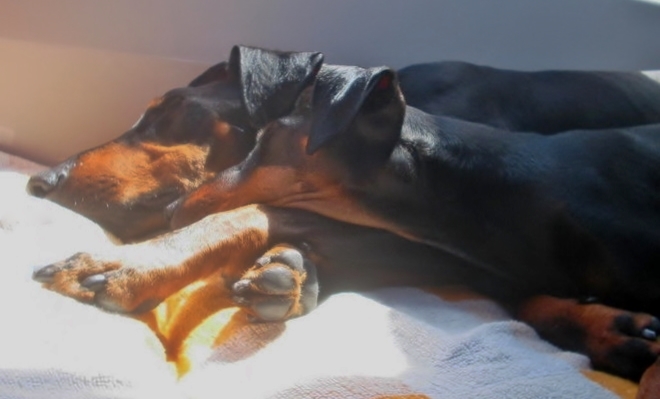 Barclay & Devi
