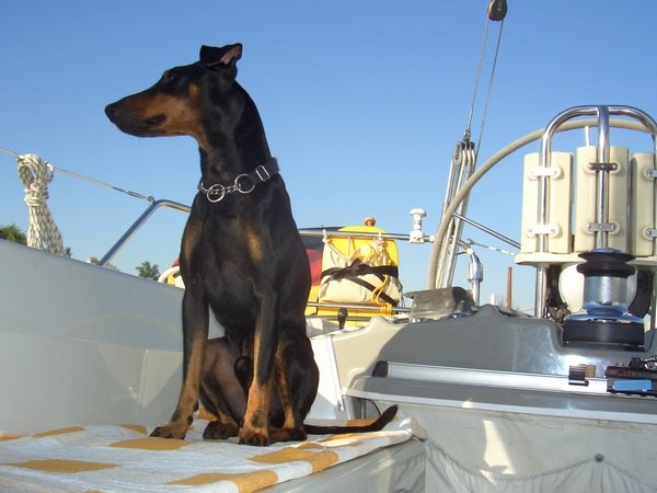 Bordwache Großenbrode 