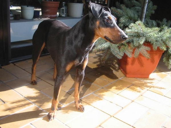 Februar 2006