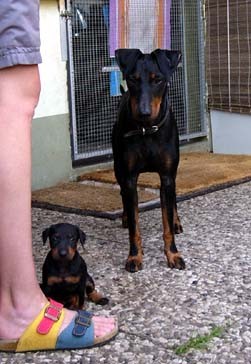 Barclay mit Mama "Kira"