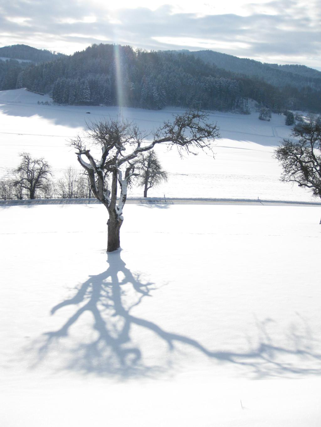 Siegerfoto von Hildegard Falk