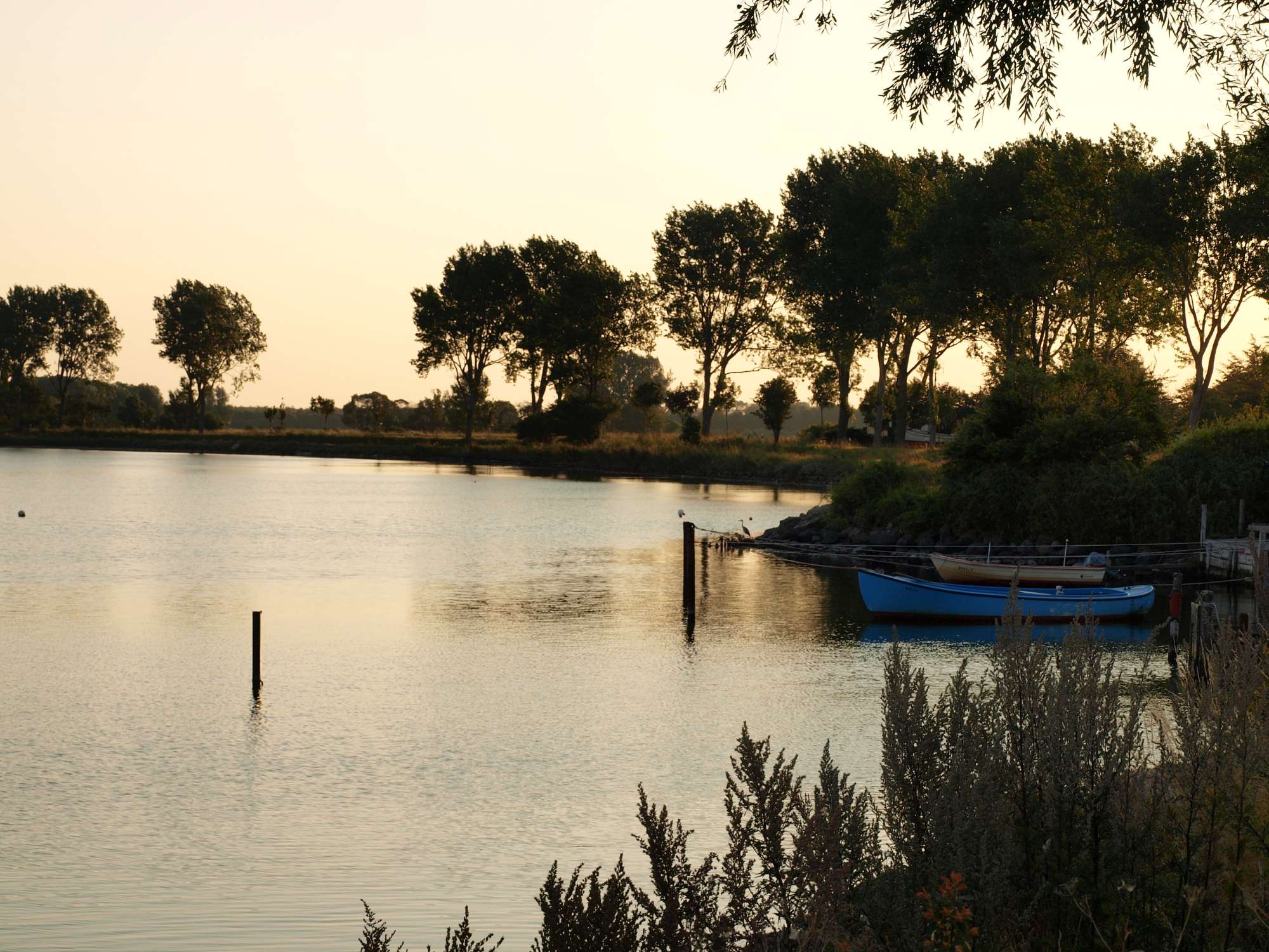 Urlaub an Ostsee und Schlei - Abend am Wormhöfter Noor