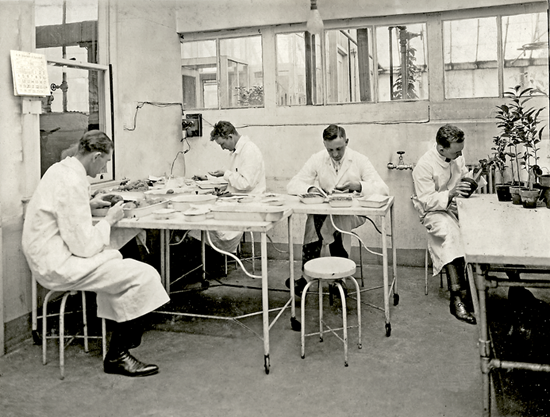 Circa 1920s - Laboratory in the Department of Agriculture's Federal Horticultural Board Inspection House which was located on the National Mall at 14th Street and Independence Avenue in Washington, D.C.