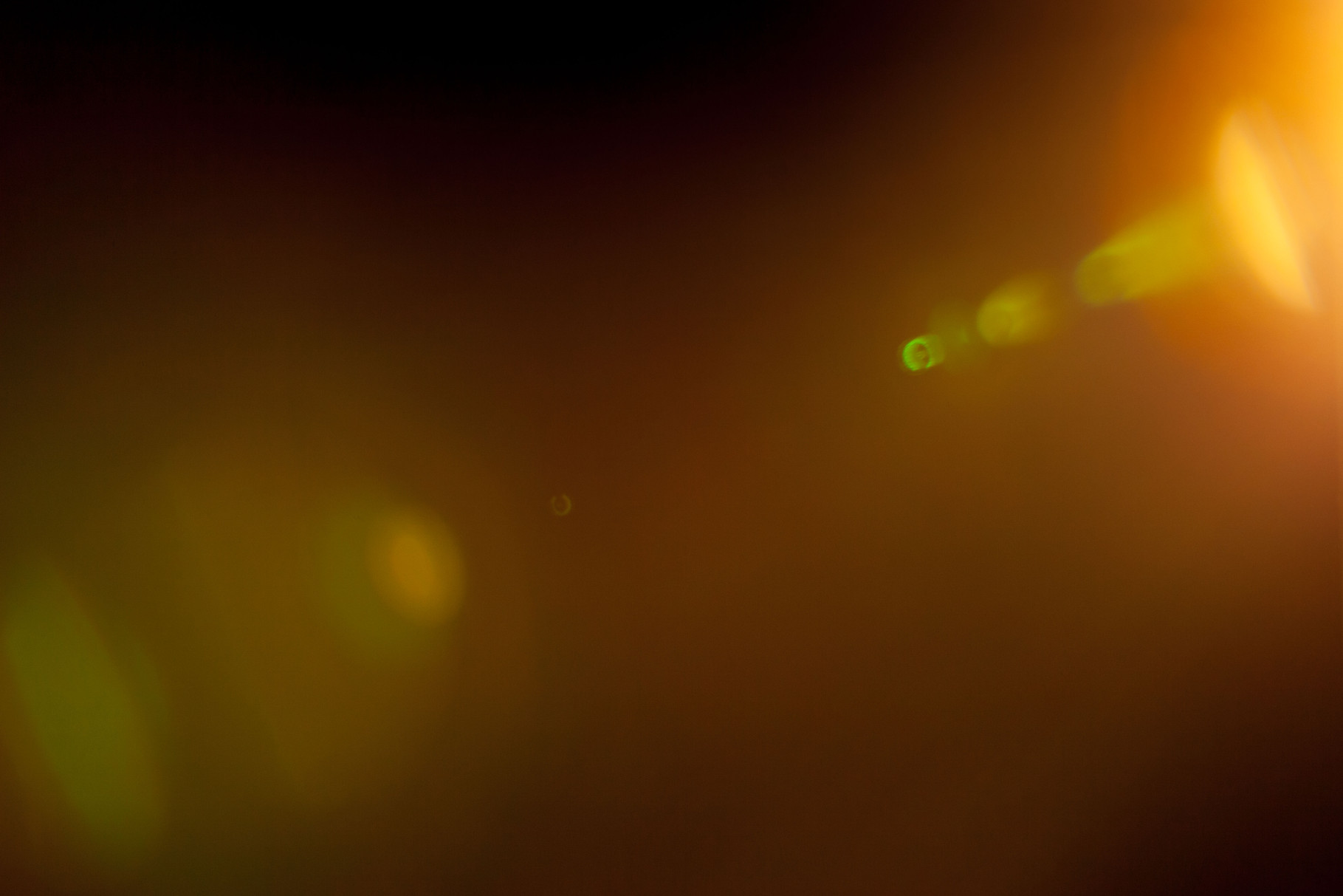 LIGHT LEAKS + LENS FLARES Verein für moderne Fotografie