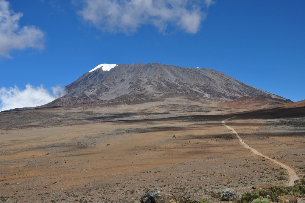 Der " Kili" oder Kibo = Der Helle