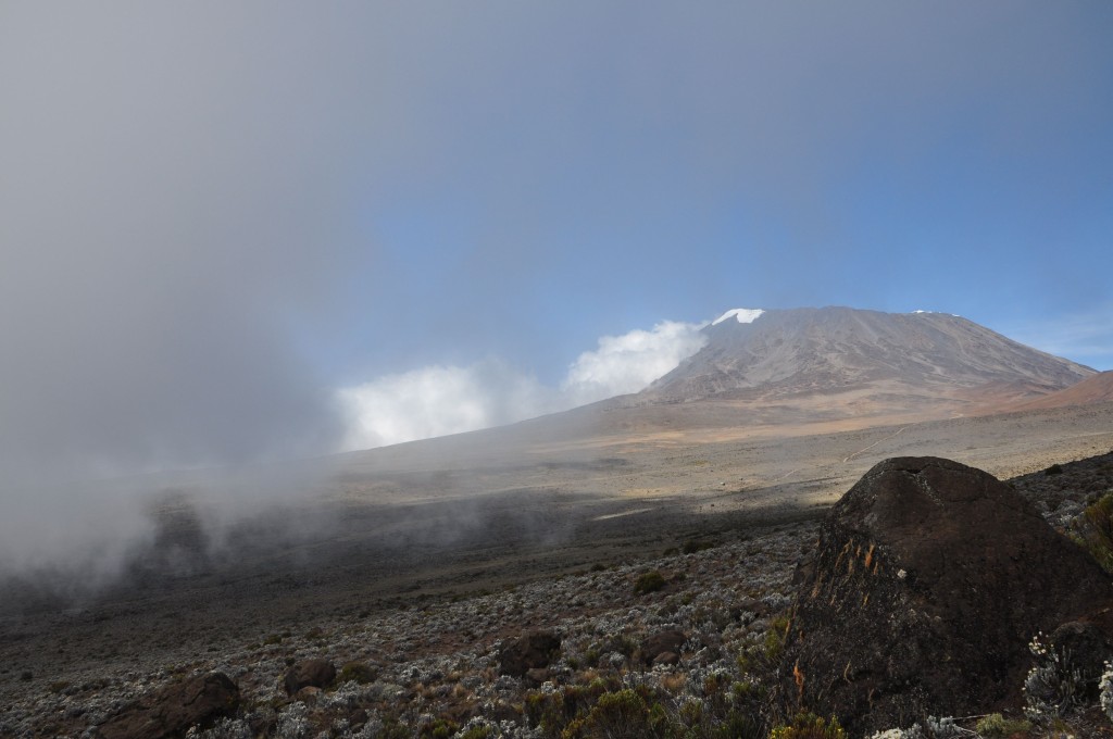 Der "Kili" versteckt sich im Nebel