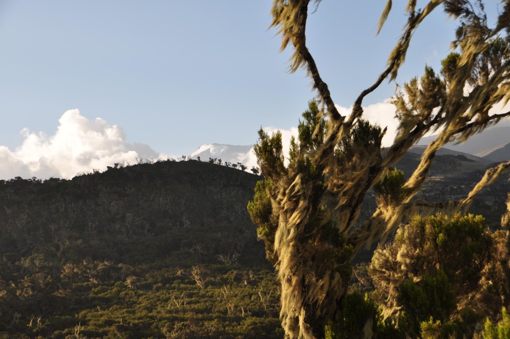 1. Blick auf den "Kili" mit dem Teleobjektiv