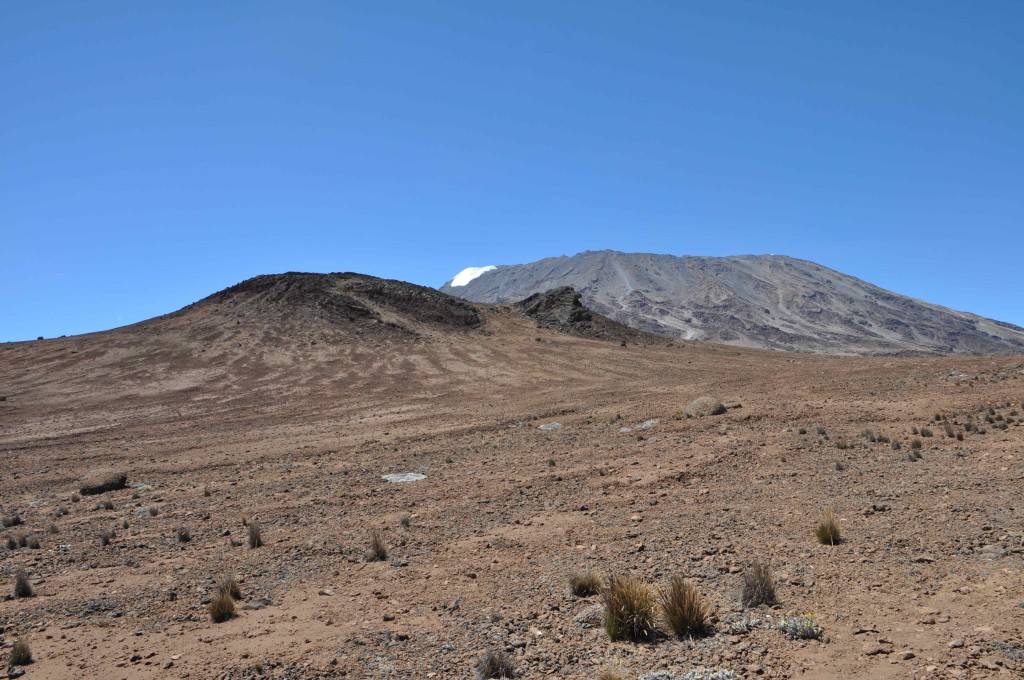 Ein kleiner Kibovulkankegel - dahinter der "Kili"