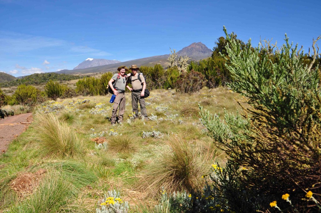 Links: der Kilimanjaro, rechts: der Mawenzi