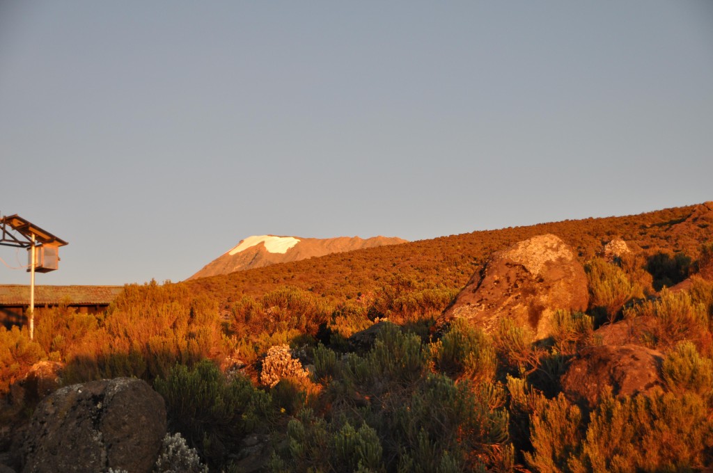 Der "Kili" in der Morgensonne