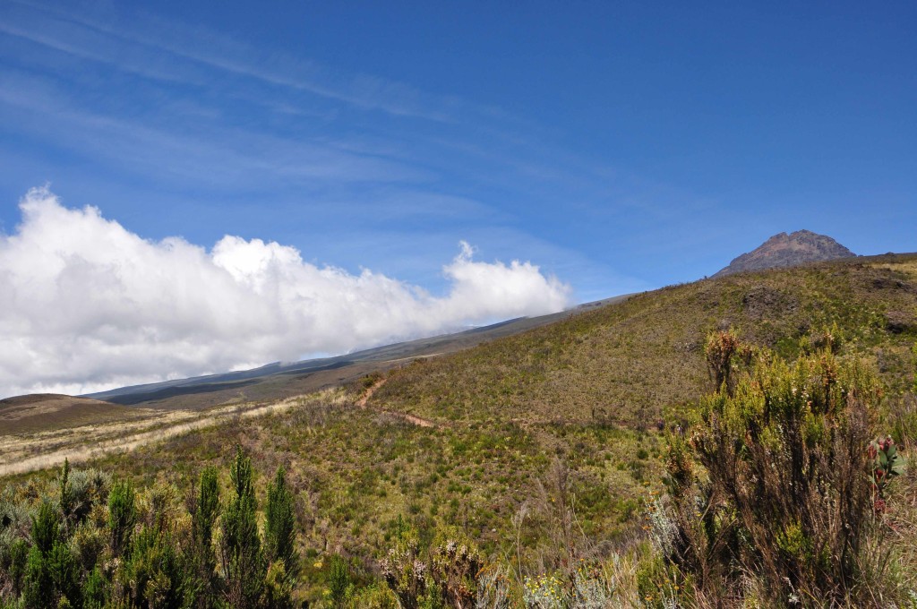 Der Mawenzi, der "Kili "versteckt sich hinter den Wolken