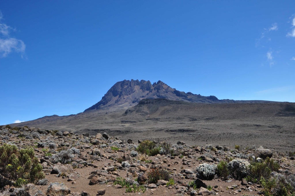 Vorbei am Mawenzi (5.149 m)