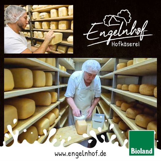Engelnhof Logo
