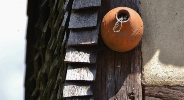 Accroché à la maison le nichoir à moineau 