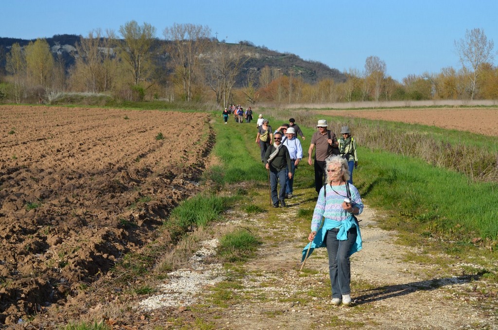 Le parcours ne présente pas de difficultés particulières