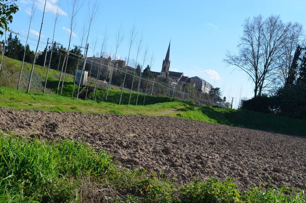 Aiguillon apparaît sur une bute