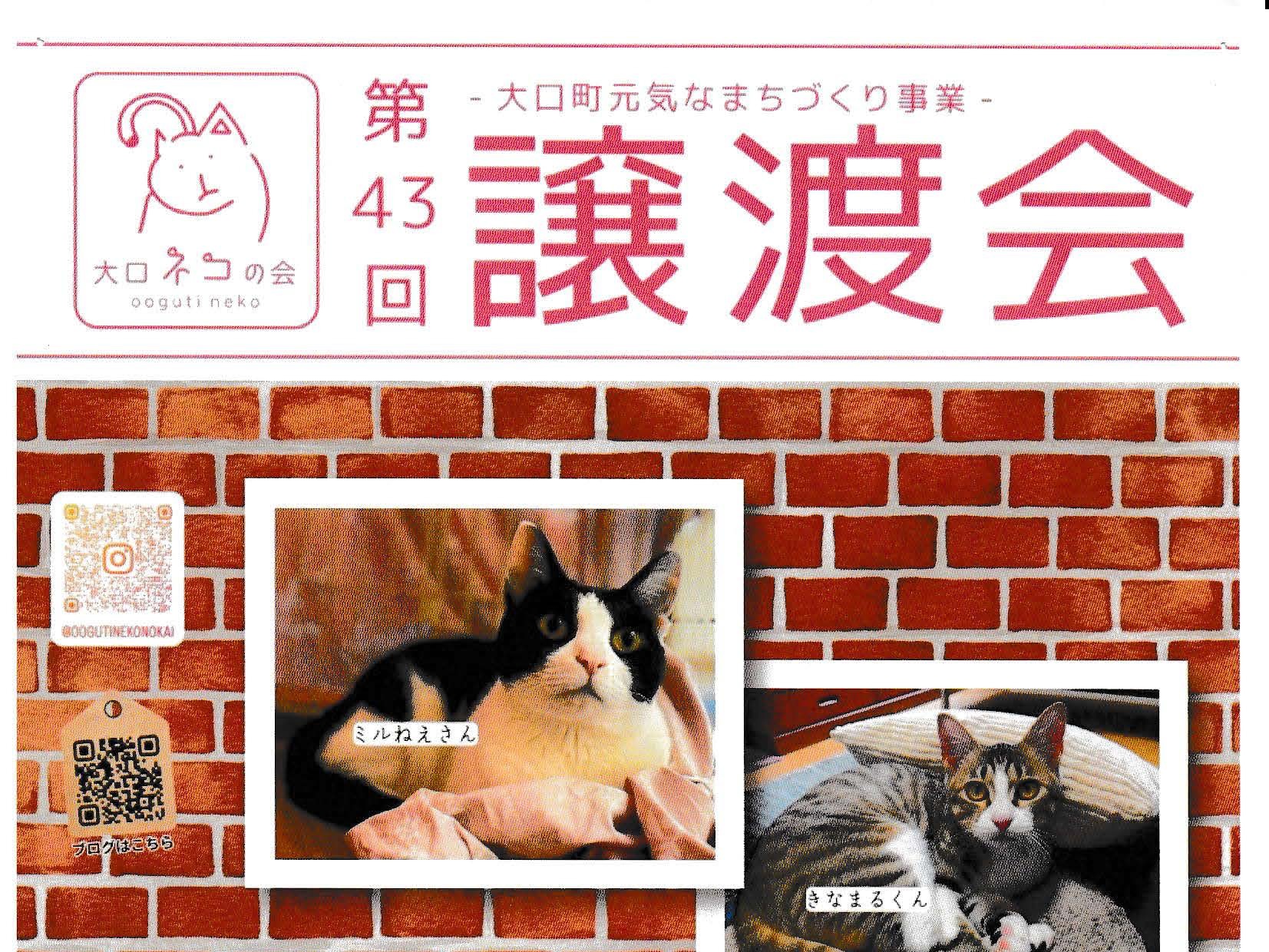 2026年6月14日（日）大口猫の会譲渡会開催のお知らせ（終了しました）