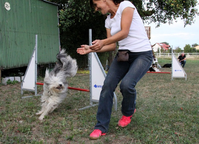 Doni & Stephi beim Training