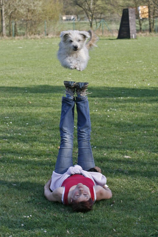 Hundetraining ist meine Leidenschaft.