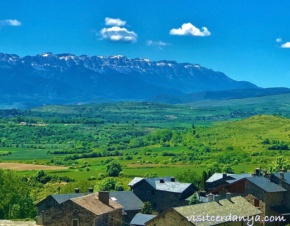 Cereja i al fons la serra del Cadí
