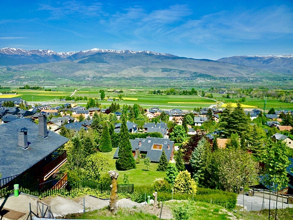 Alp