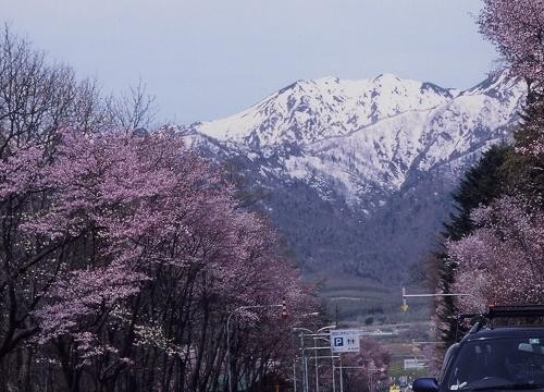 国道38号線富良野市山辺付近より芦別岳（2002年5月）