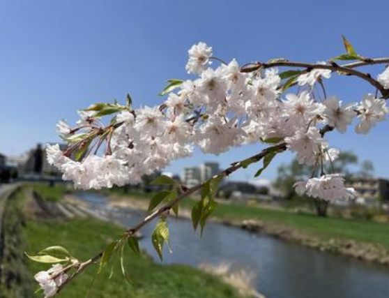 【盛岡編】レンタル彼女とどこへ行く？デートスポット3選