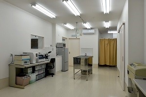 血液検査をしたり薬を用意します
