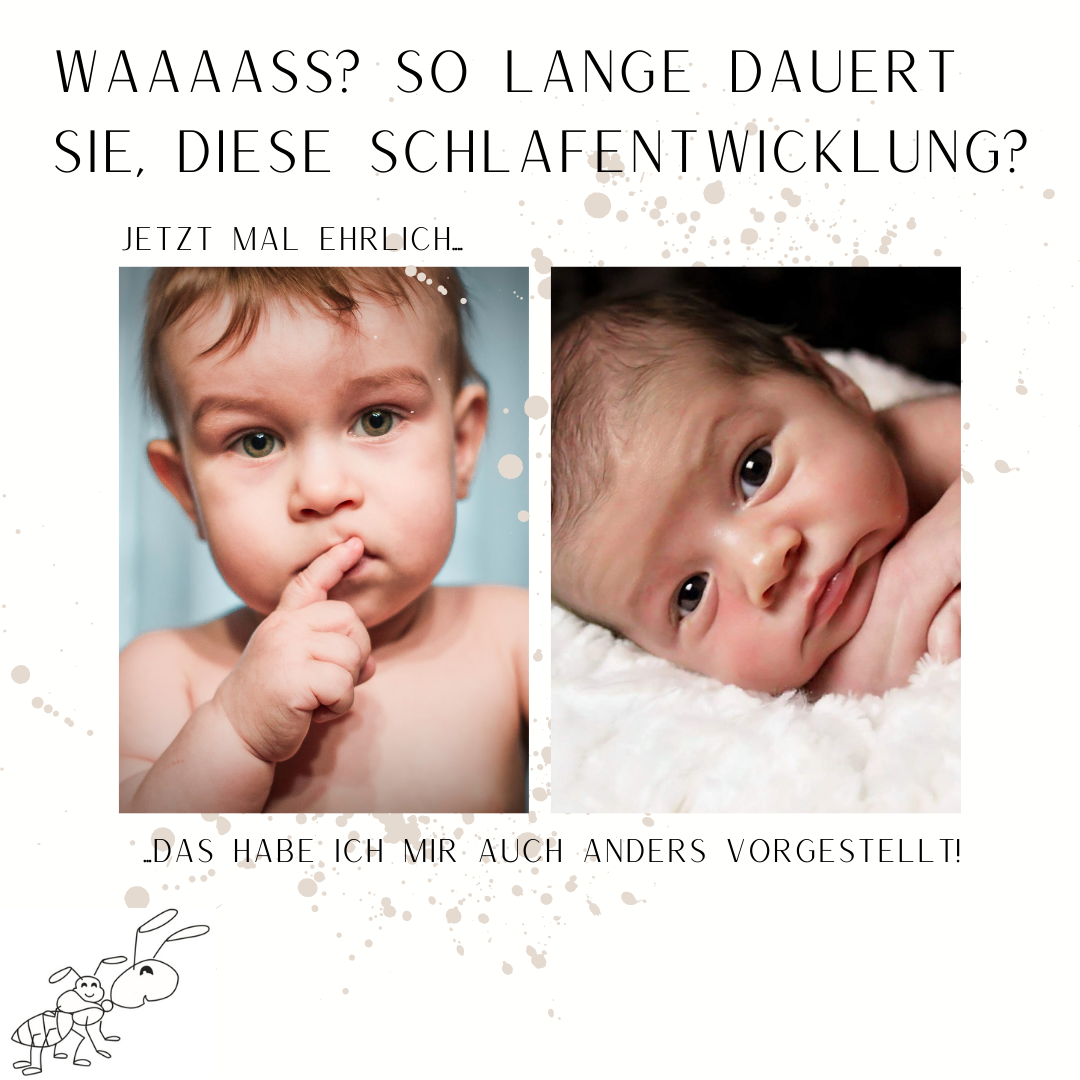 Die Sache Mit Der Schlafentwicklung Lupfmis Webseite