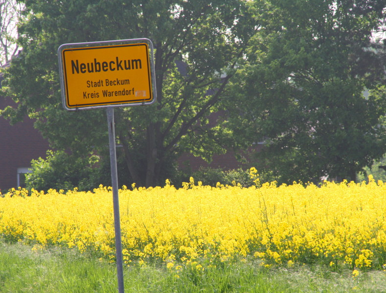 Neubeckum