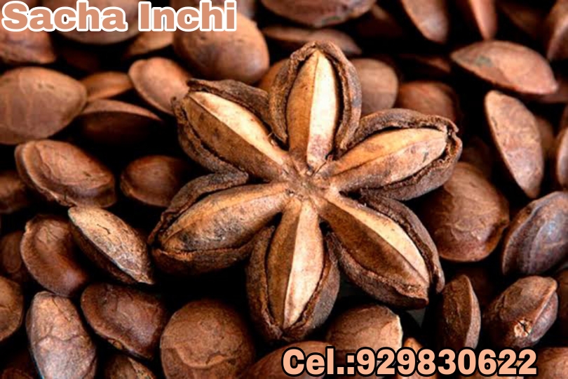 SACHA INCHI x 01 kl. S/.33.00 soles