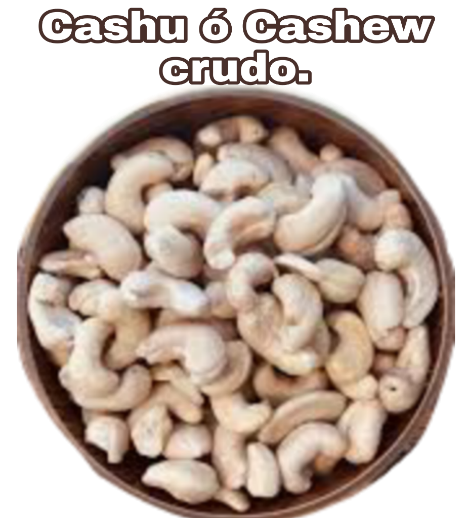 CASHU Ó CASHEW CRUDO x 01 kilo S/.48.00