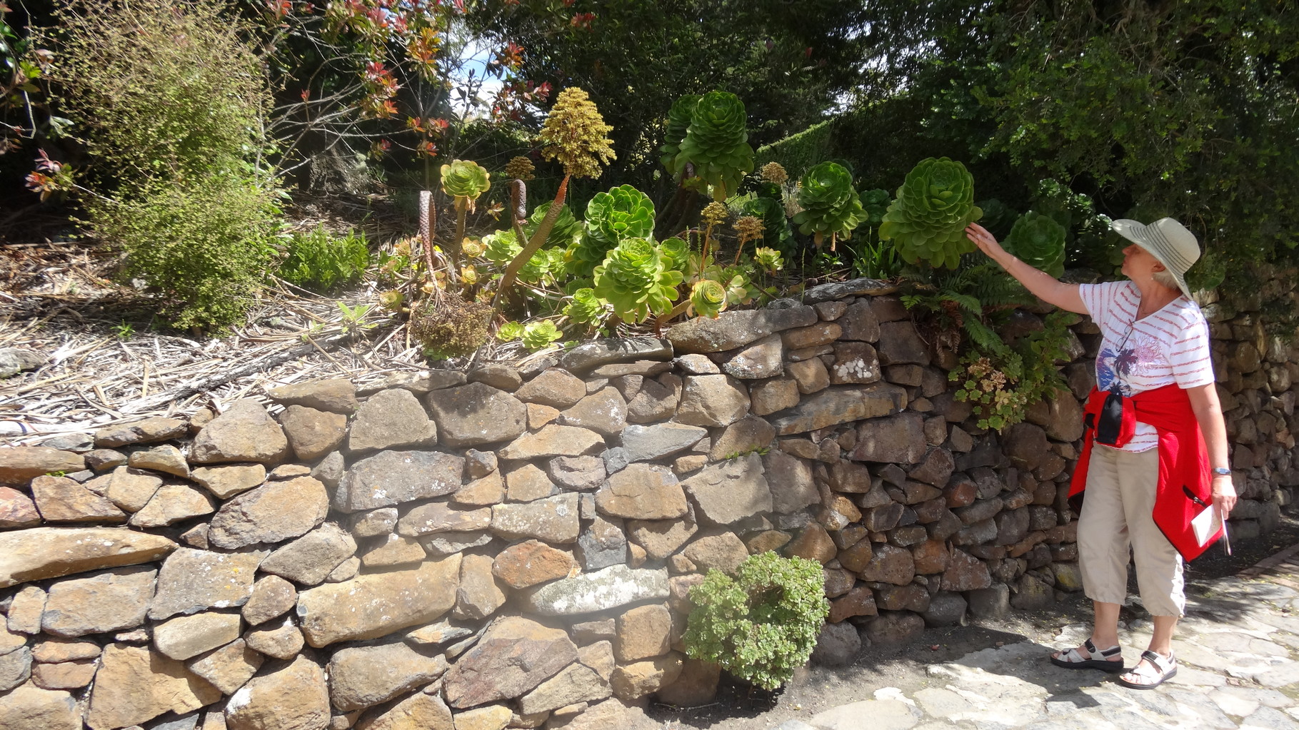 LARNACH CASTLE AND GARDENS