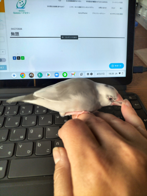 今日も