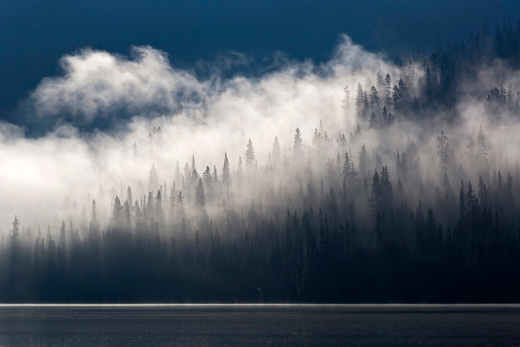 Nebel ziehen über die Wälder Kanadas