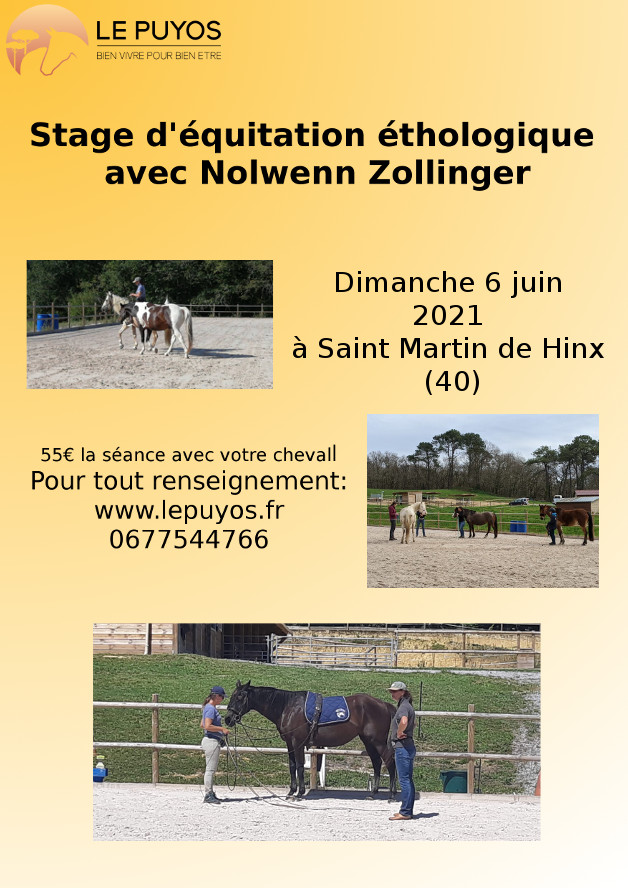 Stage d'équitation éthologique avec Nolwenn Zollinger