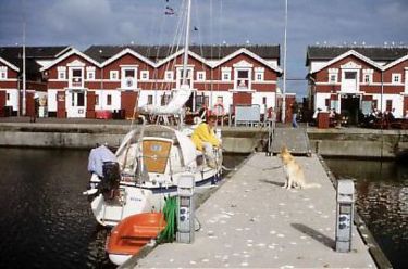 Im leeren Yachthafen von Skagen. Wie so oft in den letzten Wochen sind die verlassenen Stege voller Möwenkot.