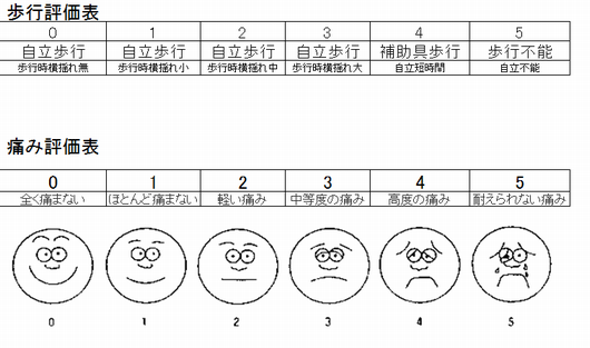 大腿骨頭壊死症の痛みと歩行評価