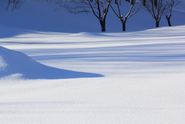 網走の雪の風景