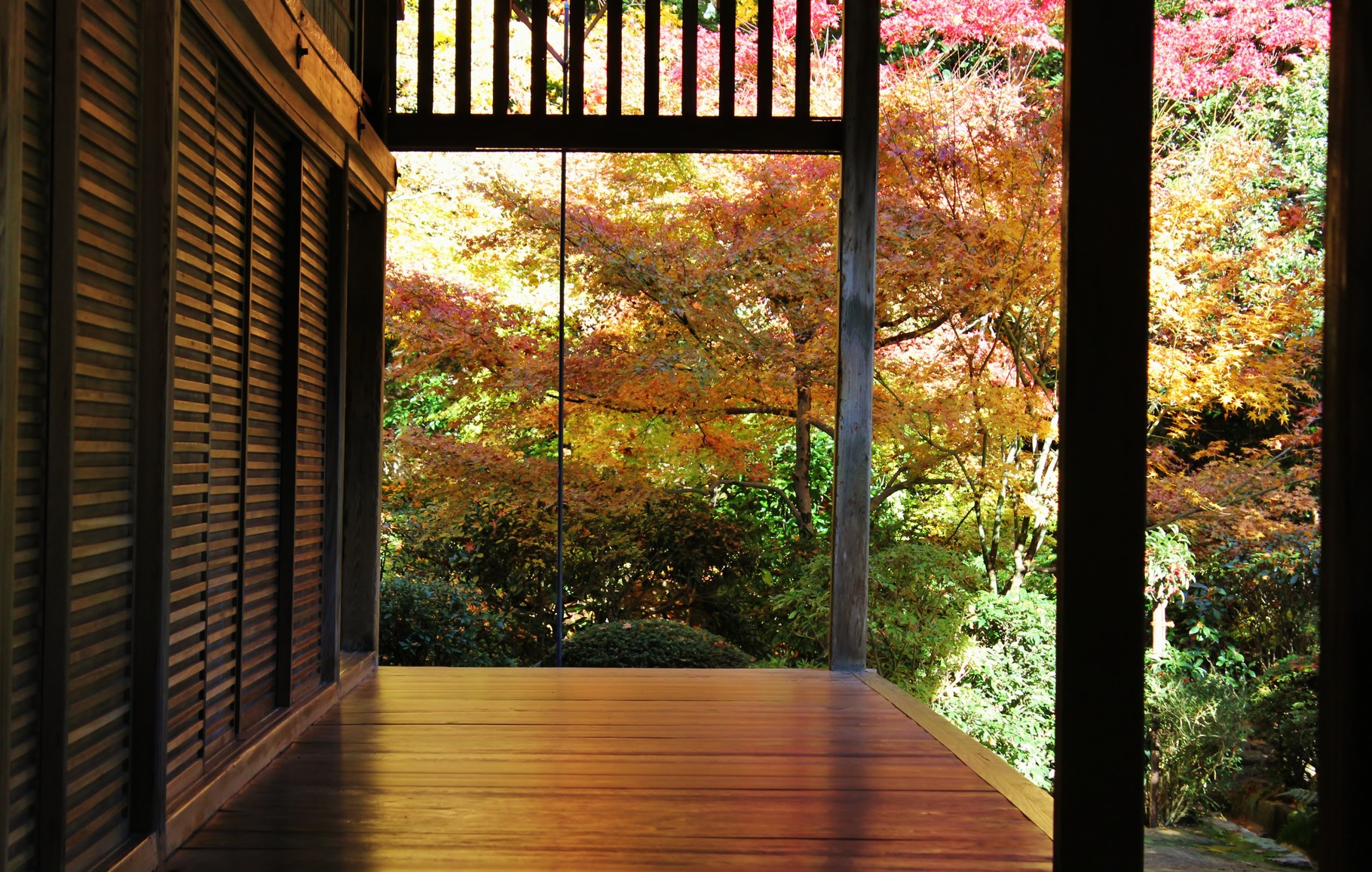 京都の寺院の紅葉