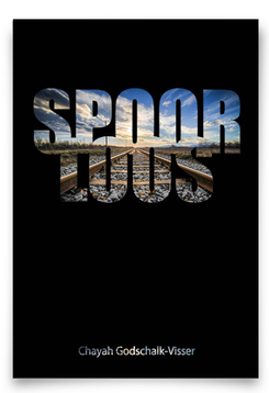 cover boek spoorloos door chayah godschalk visser