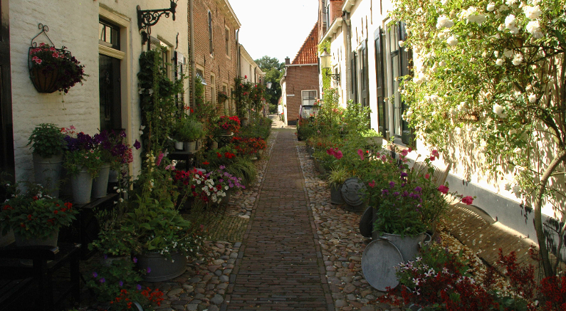 Bloemenzee Westerwalstraat in Elburg
